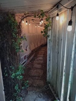 経験はプライスレス