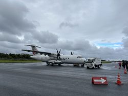 屋久島に行ってきました！